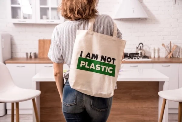 trader joes eco cloth bag